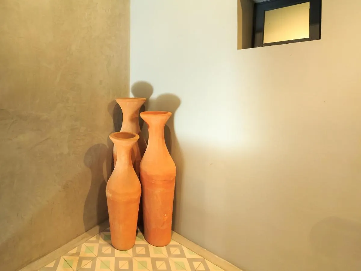 Stylish Private Flat With Patio 1 Bd Tribu San Martin Apartment Guadalajara Mexico